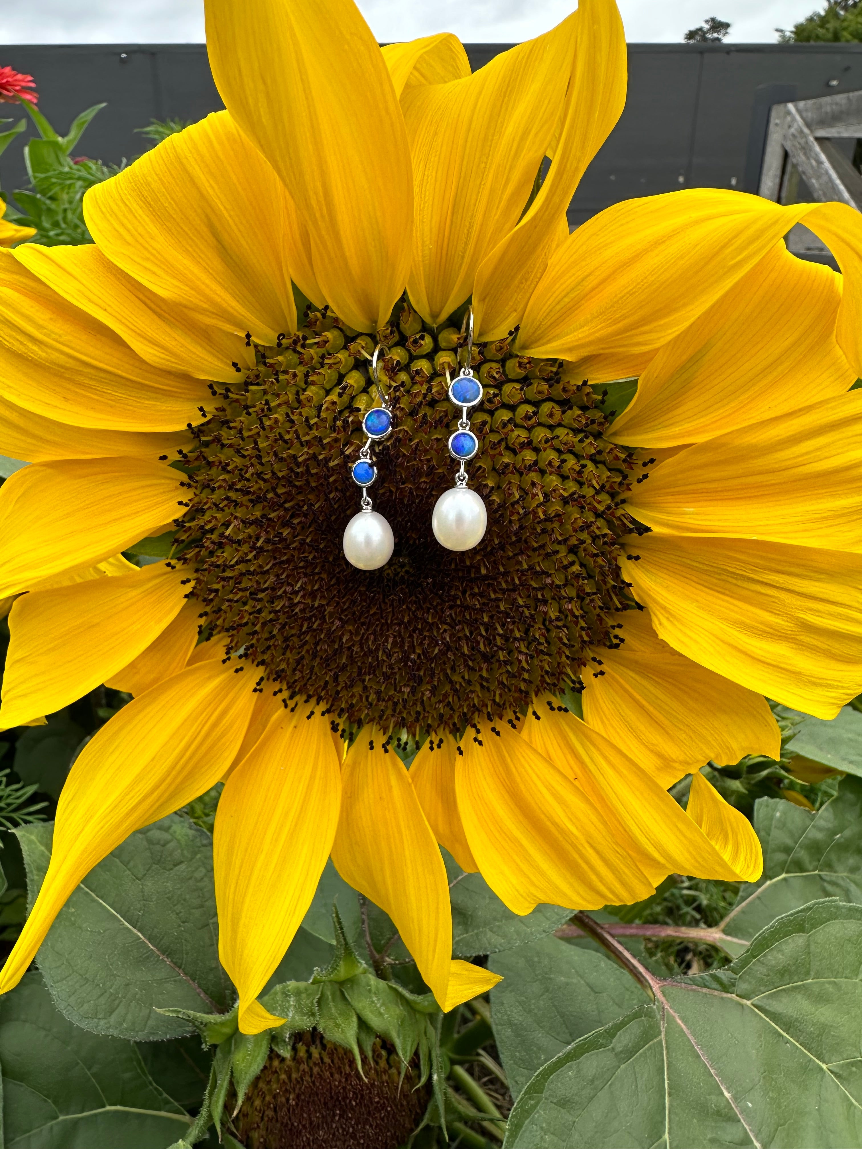 Australian solid opal & Freshwater pearl Drop Earrings