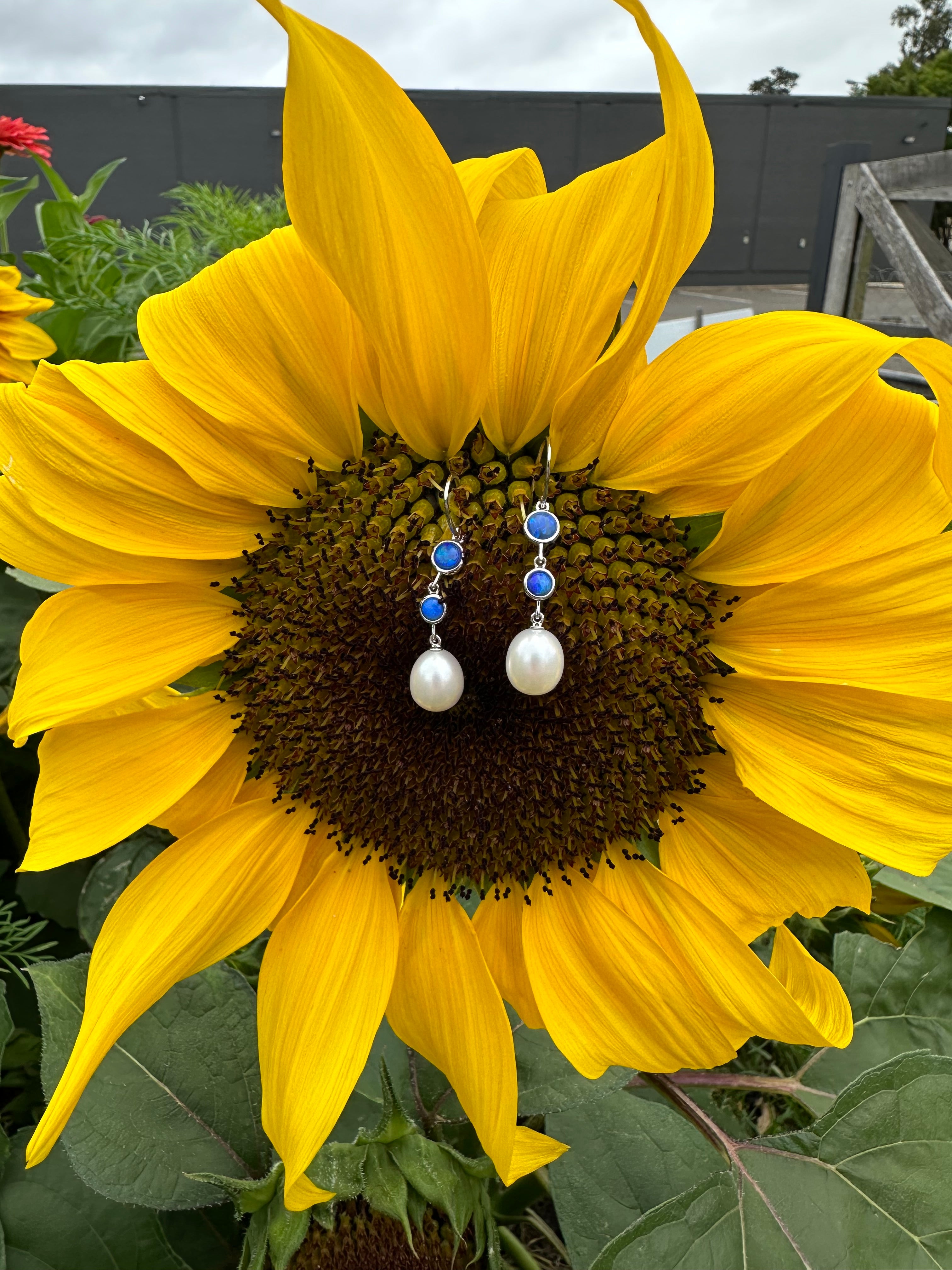 Australian solid opal & Freshwater pearl Drop Earrings